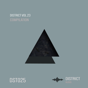 Various Artists - District 23