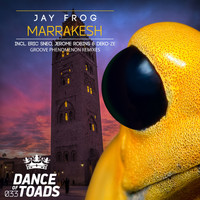 Jay Frog - Marrakesh Remixes