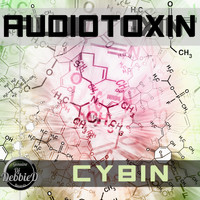 Audiotoxin - Cybin
