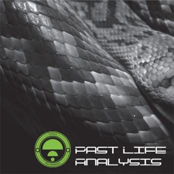 Various Artists - Past Life Analysis