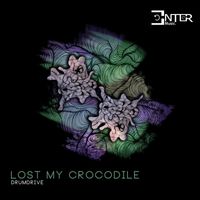 Drumdrive - Lost My Crocodile