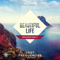 Lost Frequencies feat. Sandro Cavazza - Beautiful Life (Remixes Part 1)