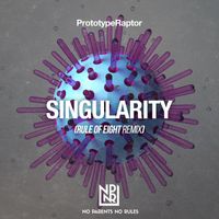 Prototyperaptor - Singularity (Rule Of Eight Remix)