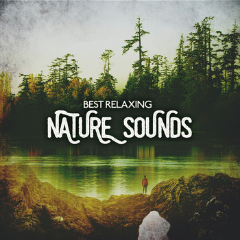 Various Artists - Best Relaxing Nature Sounds
