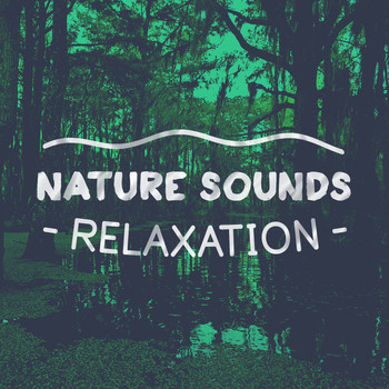 Various Artists - Nature Sounds: Relaxation