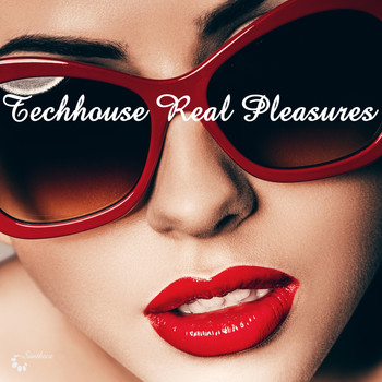 Various Artists - Techhouse Real Pleasures