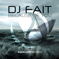 DJ Fait - Because of You (2016)