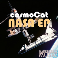 cosmoCat - NASA EP