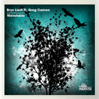 Bryn Liedl - Wavetable