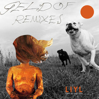 Light In Your Life - Geldof (Remixes)