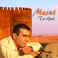 Mesut - Tu Guli