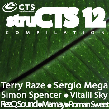 Various Artists - struCTS, Vol. 12