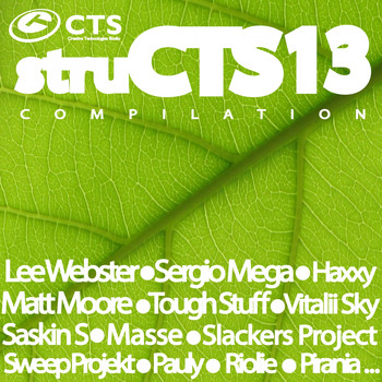 Various Artists - STRUCTS VOL.13
