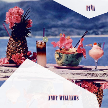 Andy Williams - Pina
