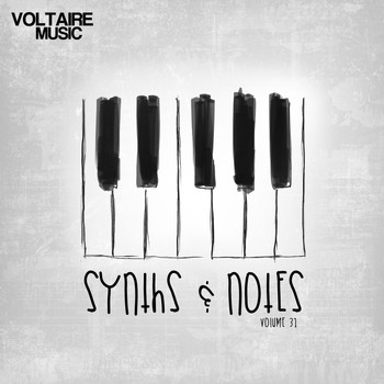 Various Artists - Synths and Notes 31