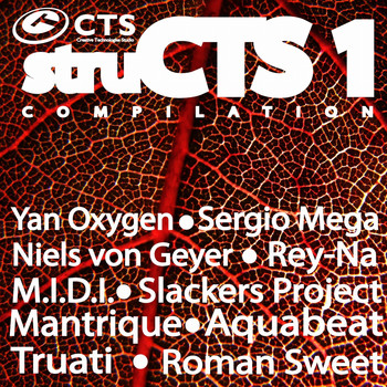 Various Artists - StruCTS 1