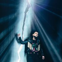 黃耀明 - 美麗的呼聲聽證會