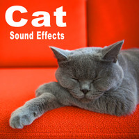 The Hollywood Edge Sound Effects Library - Cat Sound Effects