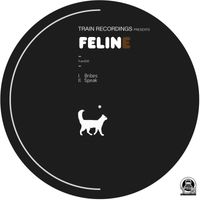 Feline - Bribes/Speak