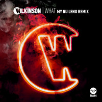 Wilkinson - What (My Nu Leng Remix)