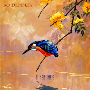 Bo Diddley - Kingfisher