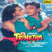 Anand - Milind - Trinetra (Original Motion Picture Soundtrack)