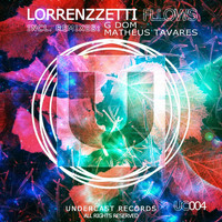 Lorrenzzetti - Fllows