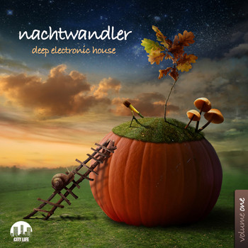 Various Artists - Nachtwandler, Vol. 1 - Deep Electronic House