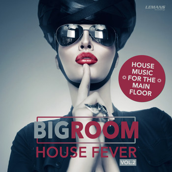 Various Artists - Bigroom House Fever, Vol. 2