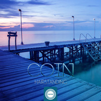 Hairstanding - Coin