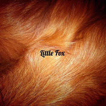 Little Fox - สุดแท้แต่