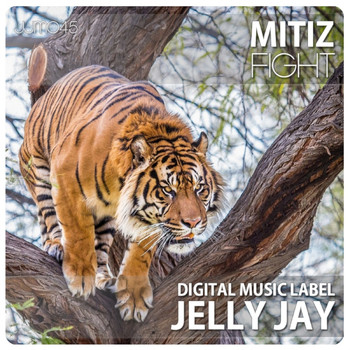 Mitiz - Fight