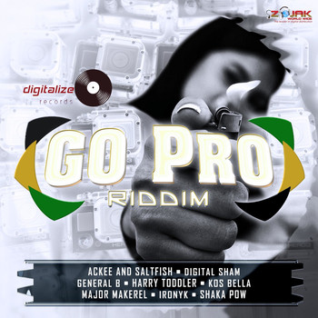 Various Artists - Go Pro Riddim