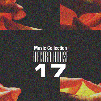 Various Artists - Music Collection. Electro House 17