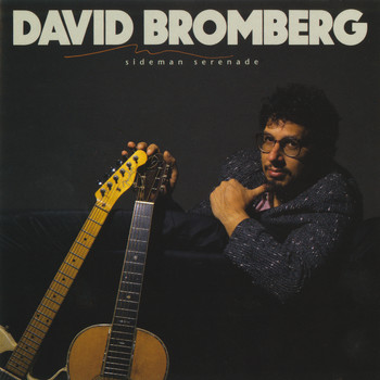 David Bromberg - Sideman Serenade