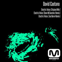 David Caetano - Electric Voice