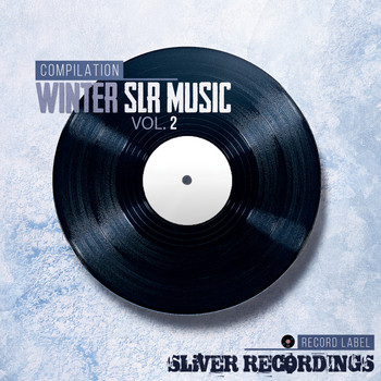 Various Artists - SLiVER Recordings: Winter Music, Vol. 2
