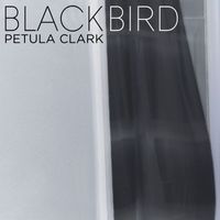 Petula Clark - Blackbird