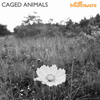 Caged Animals - Wildflowers