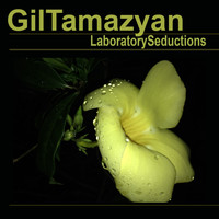 Gil Tamazyan - Laboratory Seductions