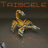 Triscele - Moon Meteorites