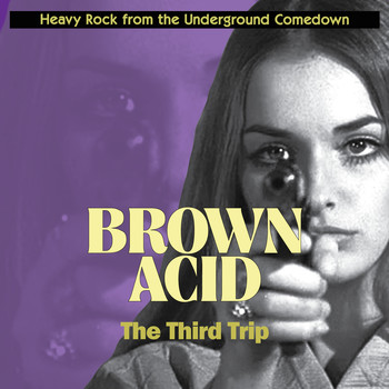 Various Artists - Brown Acid "The Third Trip"