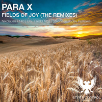Para X - Fields Of Joy ( The Remixes)