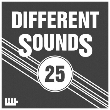 Various Artists - Different Sounds, Vol. 25