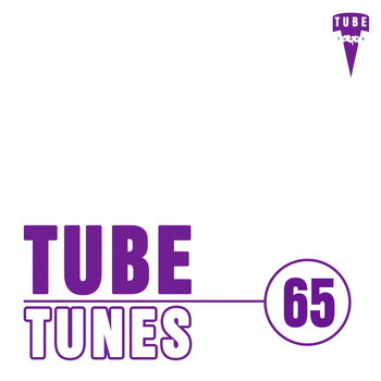 Various Artists - Tube Tunes, Vol. 65