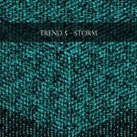 Trend 5 - Storm