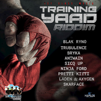 Various Artists - Training Yaad Riddim
