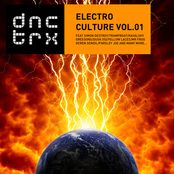 Various Artists - Electro Culture Vol.01