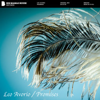 Leo Avorio - Promises