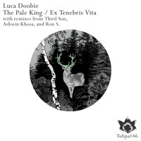 Luca Doobie - The Pale King / Ex Tenebris Vita